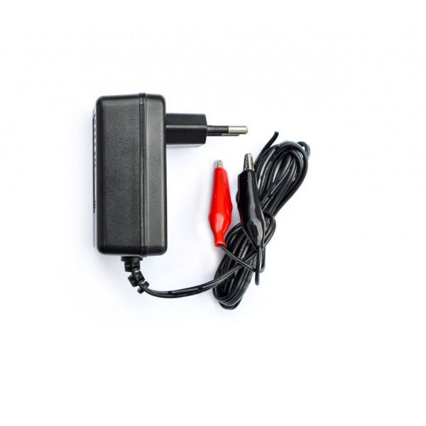 Lead Battery
