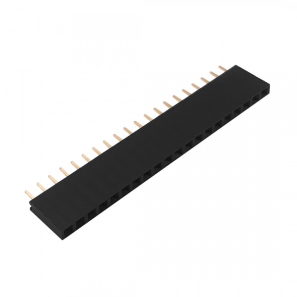 20 Pins header Female