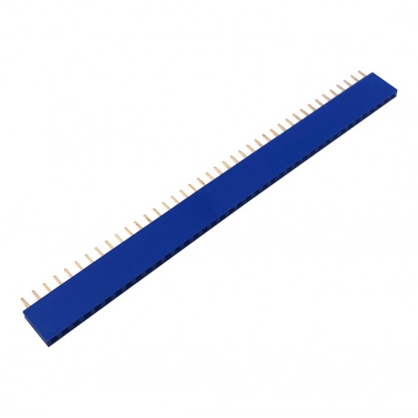 40 Pins header Female - Blue