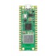Raspberry Pi Pico W - RP2040