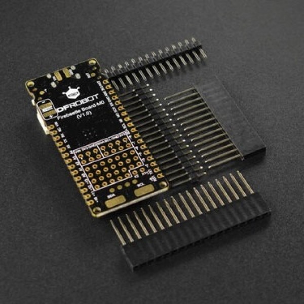 DFRobot FireBeetle 2 Board-M0 IoT Microcontroller - Separate Headers