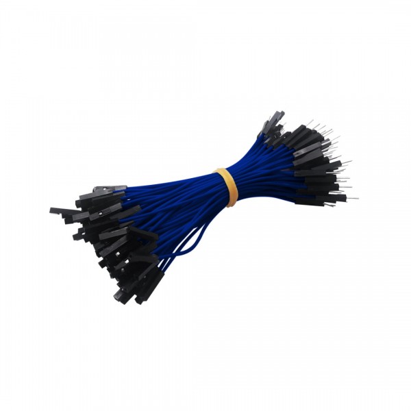 DuPont Jumper wire Male-Female 10cm 100 wires - Blue