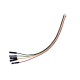 JST-ZHR 5p to DuPont Female Compatible Cable - 15cm