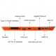Orange Pi 800 - 64GB