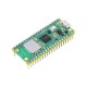 Raspberry Pi Pico W with Soldered Headers - RP2040