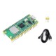 Raspberry Pi Pico W with Soldered Headers - RP2040