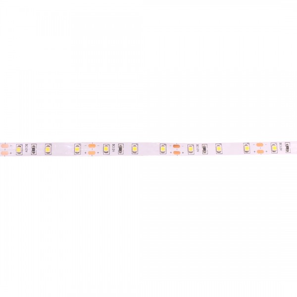 WorldSemi 3528 Koel Witte LED Strip - 300 LEDs 5m - 12V