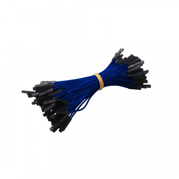 DuPont Jumper wire Female-Female 10cm 100 wires - Blue