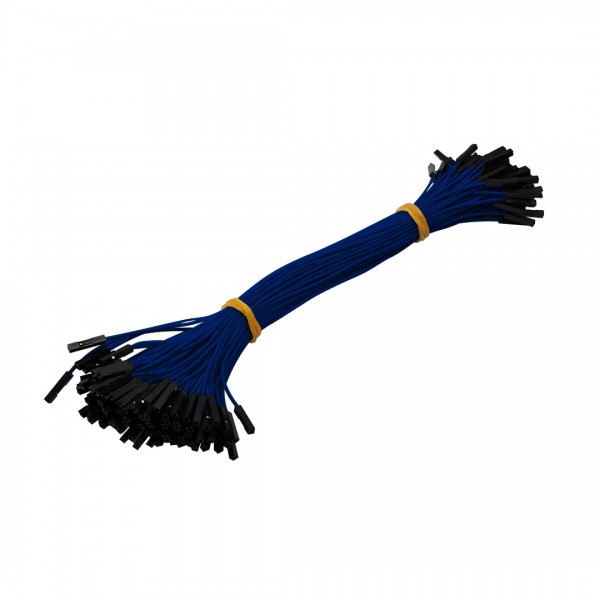 DuPont Jumper wire Female-Female 20cm 100 wires - Blue