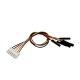 JST-XH Female to DuPont Female Compatible Cable - 6p - 15cm