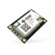 RAKwireless RAK11310 Raspberry Pi RP2040 Core Module voor LoRaWAN met LoRa SX1262