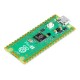 Raspberry Pi Pico 2 - RP2350