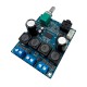 TPA3118 2x30W Audio Versterker