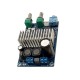 TPA3116 1x100W Audio Versterker