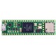 Teensy 4.1 Without Ethernet