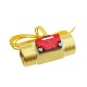 YF-C02 Water Flow Switch - Normally Open - G3/4