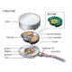 Small Vibration DC Motor 2.5-4V