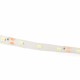 Standaard 3528 Witte LED Strip - 300 LEDs 5m - 12V