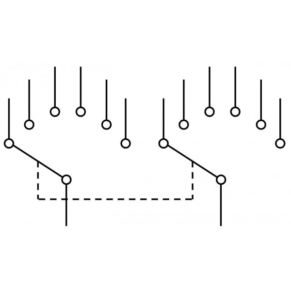 Rotary Switch 2x6 Positions ROTARYSWITCH2X6